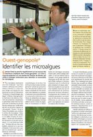 Ouest-genopole : Identifier les micro-algues